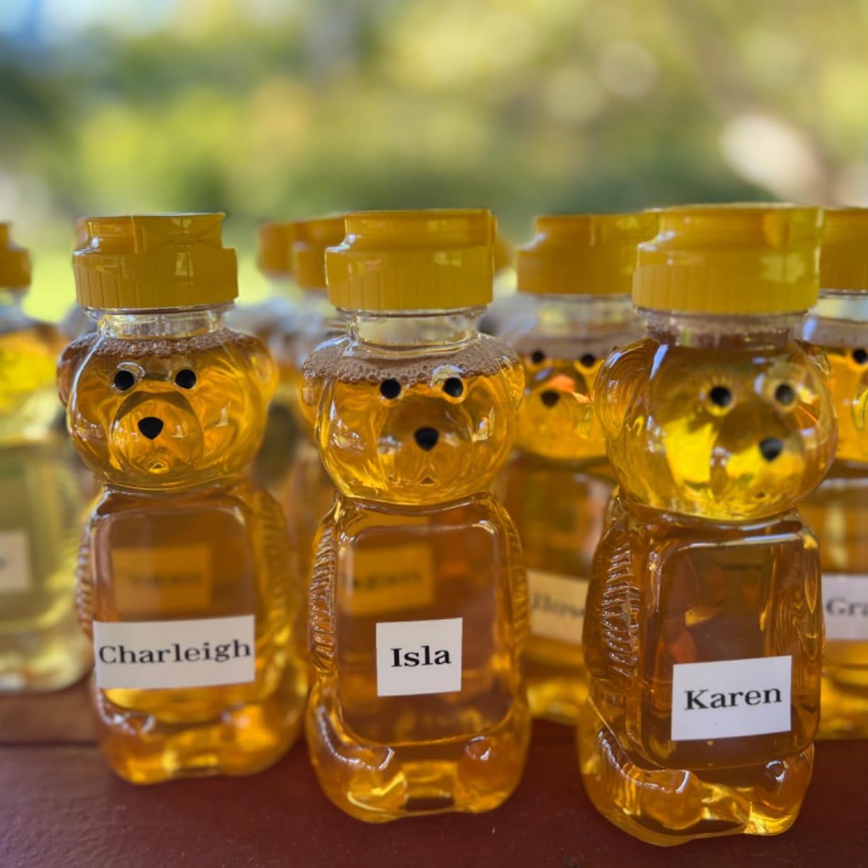 Barattoli di miele per orsi in - Baby Food Jars recensione e prezzo